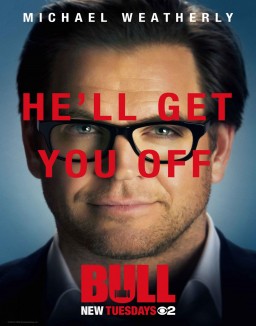 Bull Saison 1