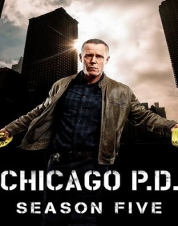 Chicago Police Department Saison 5
