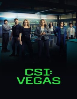 CSI: Vegas Saison 2
