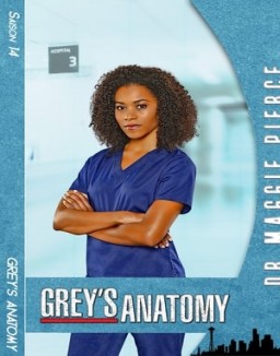 Grey's Anatomy Saison 14