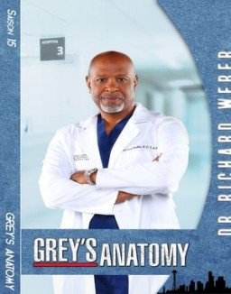 Grey's Anatomy Saison 15