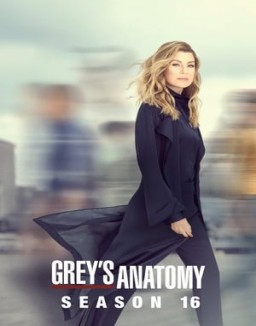 Grey's Anatomy Saison 16