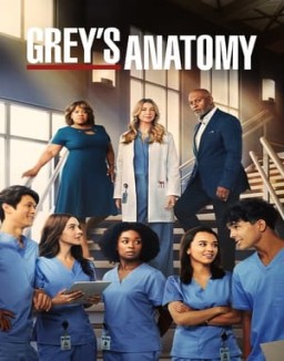 Grey's Anatomy Saison 19