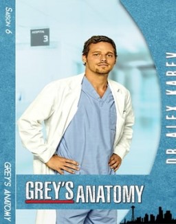 Grey's Anatomy Saison 6