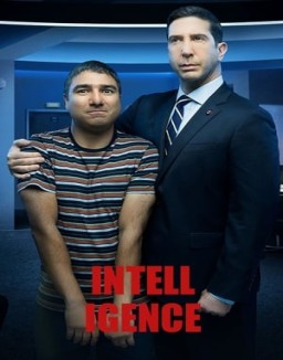 Intelligence Saison 1