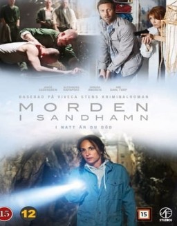 Meurtres à Sandhamn Saison 4