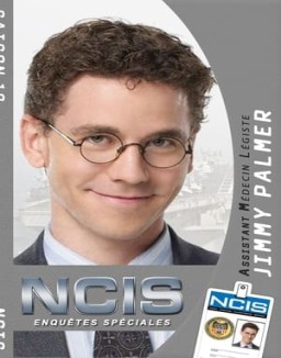 NCIS : Enquêtes Spéciales Saison 10