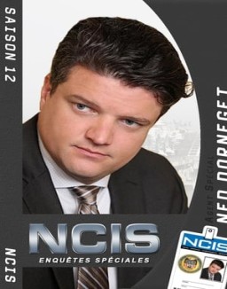 NCIS : Enquêtes Spéciales Saison 12