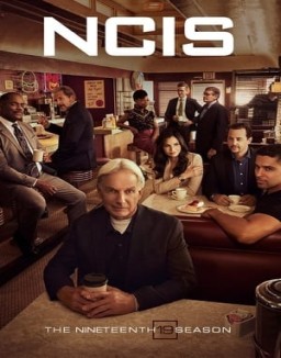 NCIS : Enquêtes Spéciales Saison 19