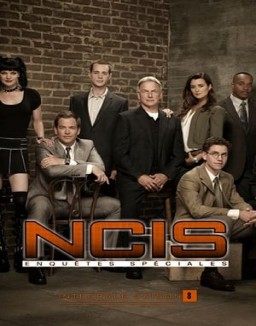 NCIS : Enquêtes Spéciales Saison 8