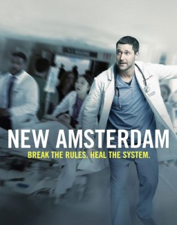 New Amsterdam Saison 1